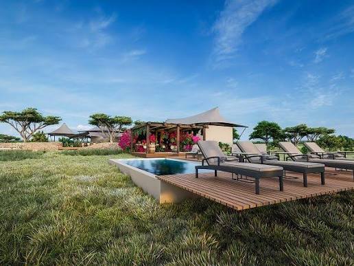 Garonga MCH Luxury Tented Camp, Greater Makalali Private Game Reserve, Limpopo, South Africa