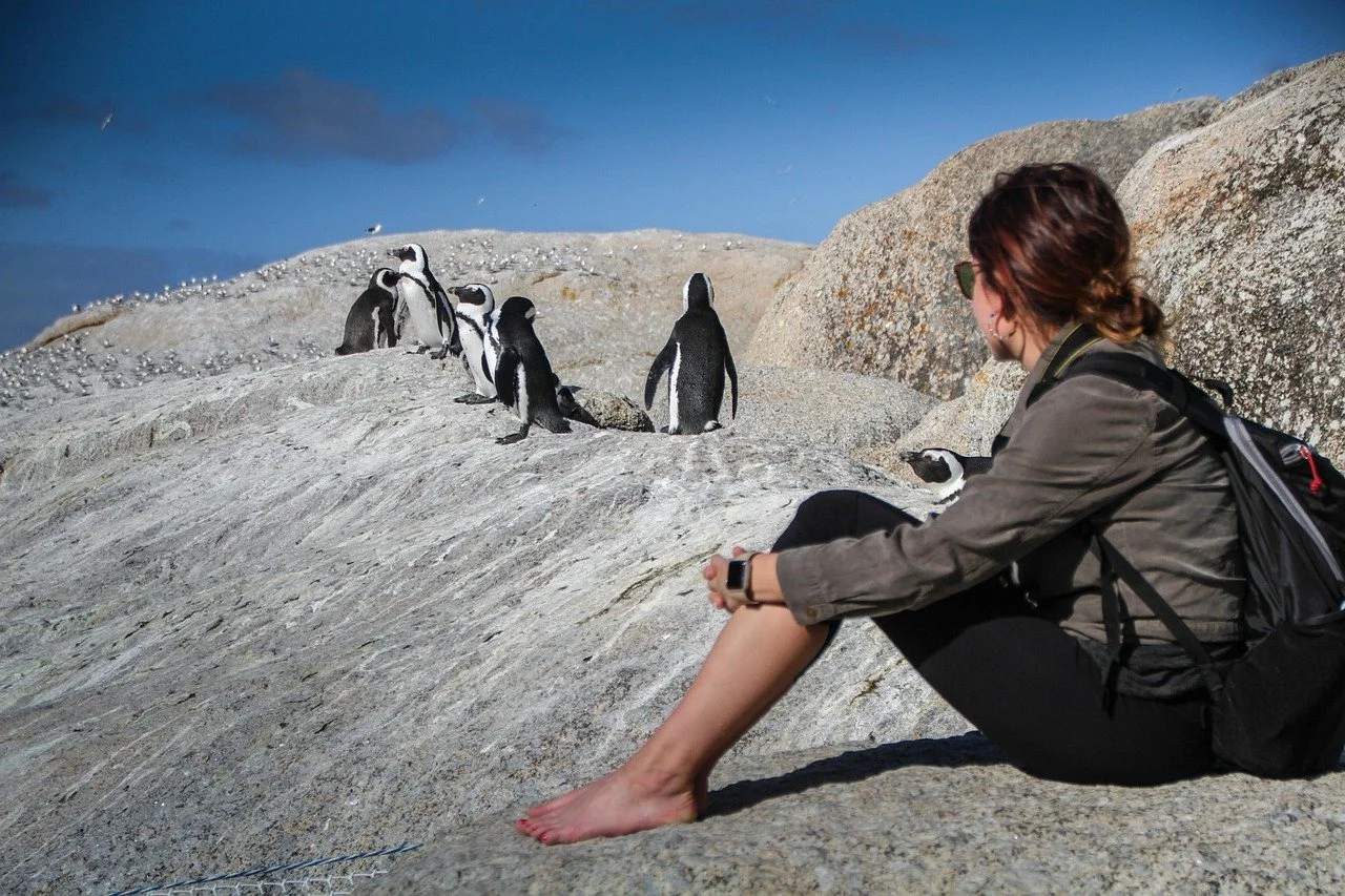 Traveller sitting on a granite slope watching African penguins on the rocks at Boulders Beach